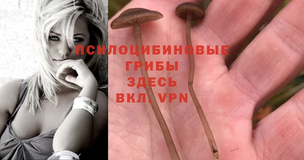 кокаин колумбия Абаза