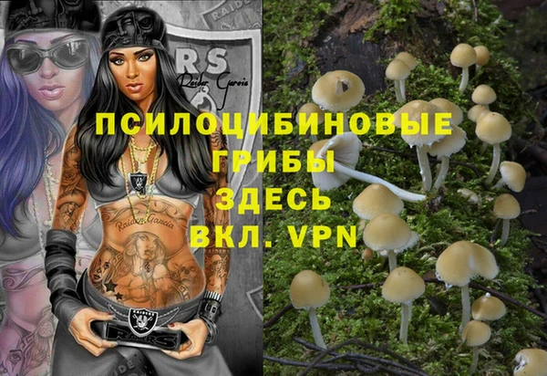 сатива Абинск