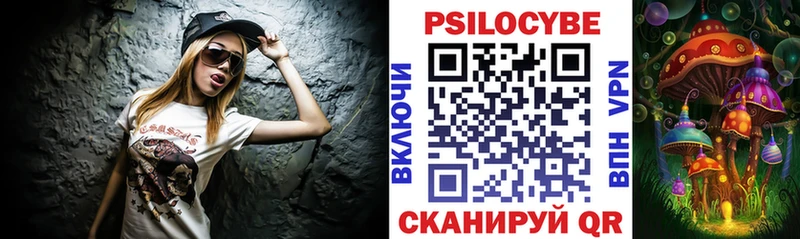 kraken рабочий сайт  Ильский  Псилоцибиновые грибы Psilocybine cubensis  купить наркоту 